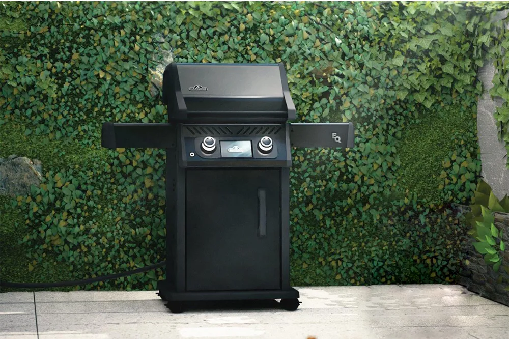 ROGUE EQ 365 智能电烤炉