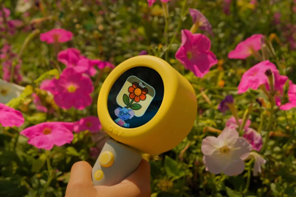 Dex 语言学习相机