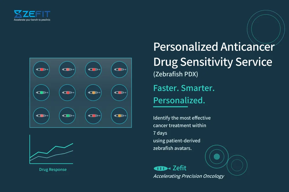 个性化抗癌药物敏感性服务