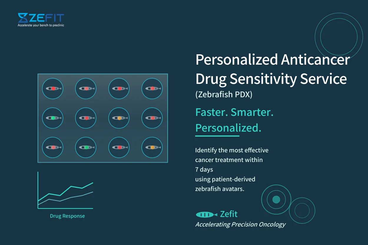 Personalized Anticancer Drug Sensitivity Service