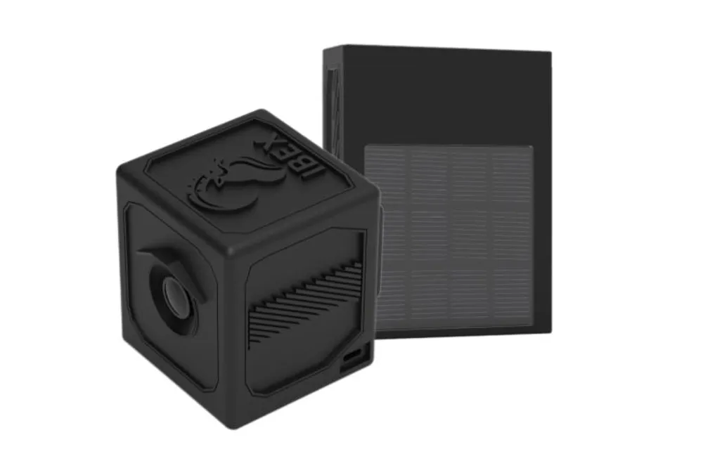 IBEX -- 用于边缘智能的自主 AI 视觉传感器