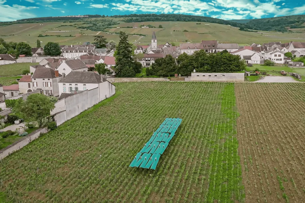 机器人天篷 BIENESIS